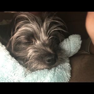 Meet your Posher, Amy